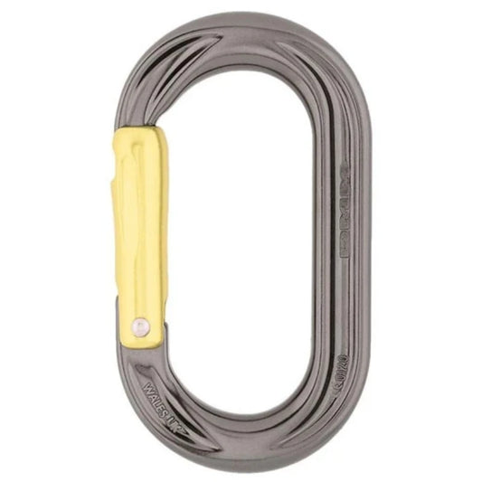 A591 DMM Perfecto straight gate carabiner grey (mosqueton)