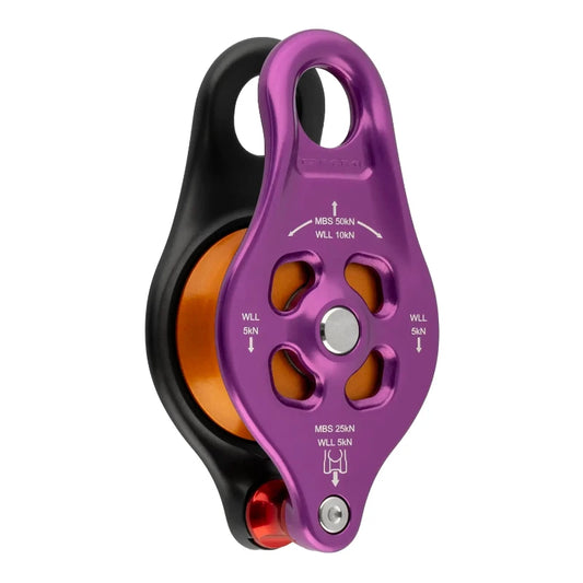 99865 Pinto 2 Rig Pulley
